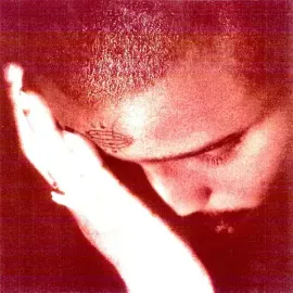 Виниловая пластинка Nourished by Time – The Passionate Ones (Релиз 2025)