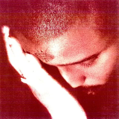 Виниловая пластинка Nourished by Time – The Passionate Ones (Релиз 2025)