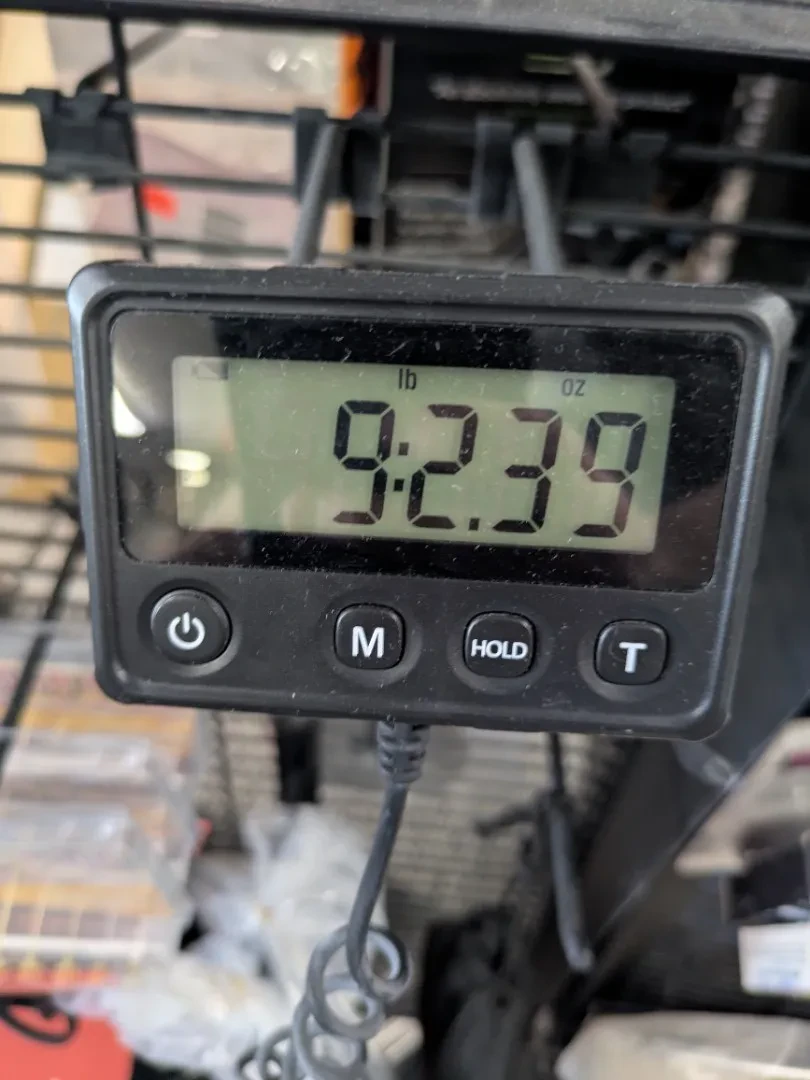 Изображение №10