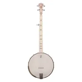 Банджо Deering Goodtime Americana Banjo Limited Edition Bronze