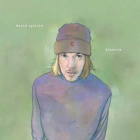 Виниловая пластинка David Sylvian – Blemish
