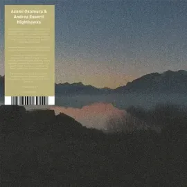 Виниловая пластинка Okamura,Azumi & Esperti,Andrea - Nighthawks [New Vinyl LP]