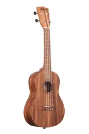 Укулеле концерт KALA KA-TEAK-C