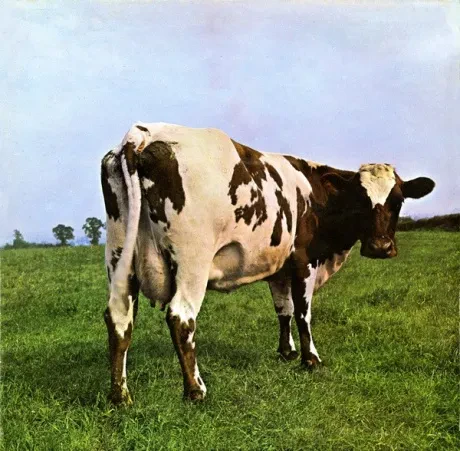 PINK FLOYD - Atom Heart Mother (LP , Used)