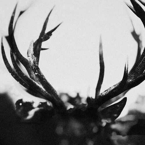 Виниловая пластинка Ihsahn - IHSAHN - Black Yolk [New Vinyl LP] Black, Colored Vinyl