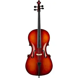 Виолончель Knilling 153 Sebastian Model Cello Outfit 4/4