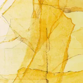 Виниловая пластинка Wadada Leo Smith & Amina Claudine Myers – Central Park's Mosaic of Reservoir, Lake, Paths and Gardens (Релиз 2024)