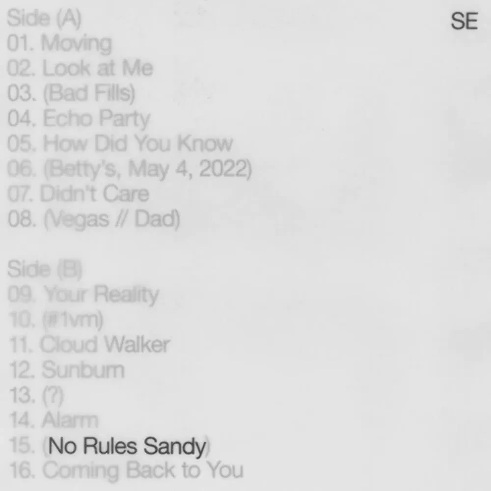 Виниловая пластинка Sylvan Esso – No Rules Sandy 2022 Sealed