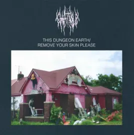 Виниловая пластинка Chat Pile – This Dungeon Earth / Remove Your Skin Please Релиз 2025