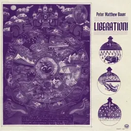 Виниловая пластинка Peter Matthew Bauer – Liberation (Релиз 2014)
