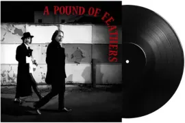 Виниловая пластинка The Black Crowes – A Pound Of Feathers Релиз 2026 Sealed