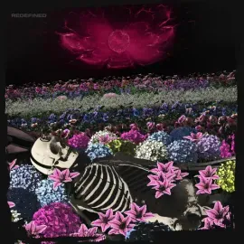 Виниловая пластинка Dead Rabbitts - Redefined [New Vinyl LP]