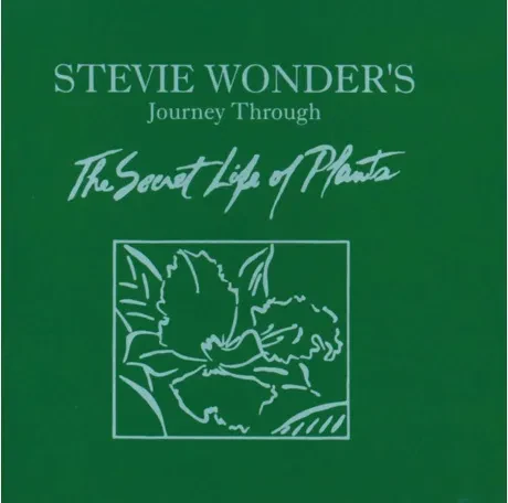 STEVIE WONDER - Journey Through The Secret Life Of Plants (2CD)