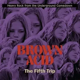 Виниловая пластинка Various Artists - Brown Acid - The Fifth Trip (Various Artists) [New Vinyl LP]