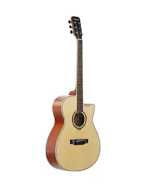 Акустическая гитара STARSUN TG220C-P Open Pore Natural