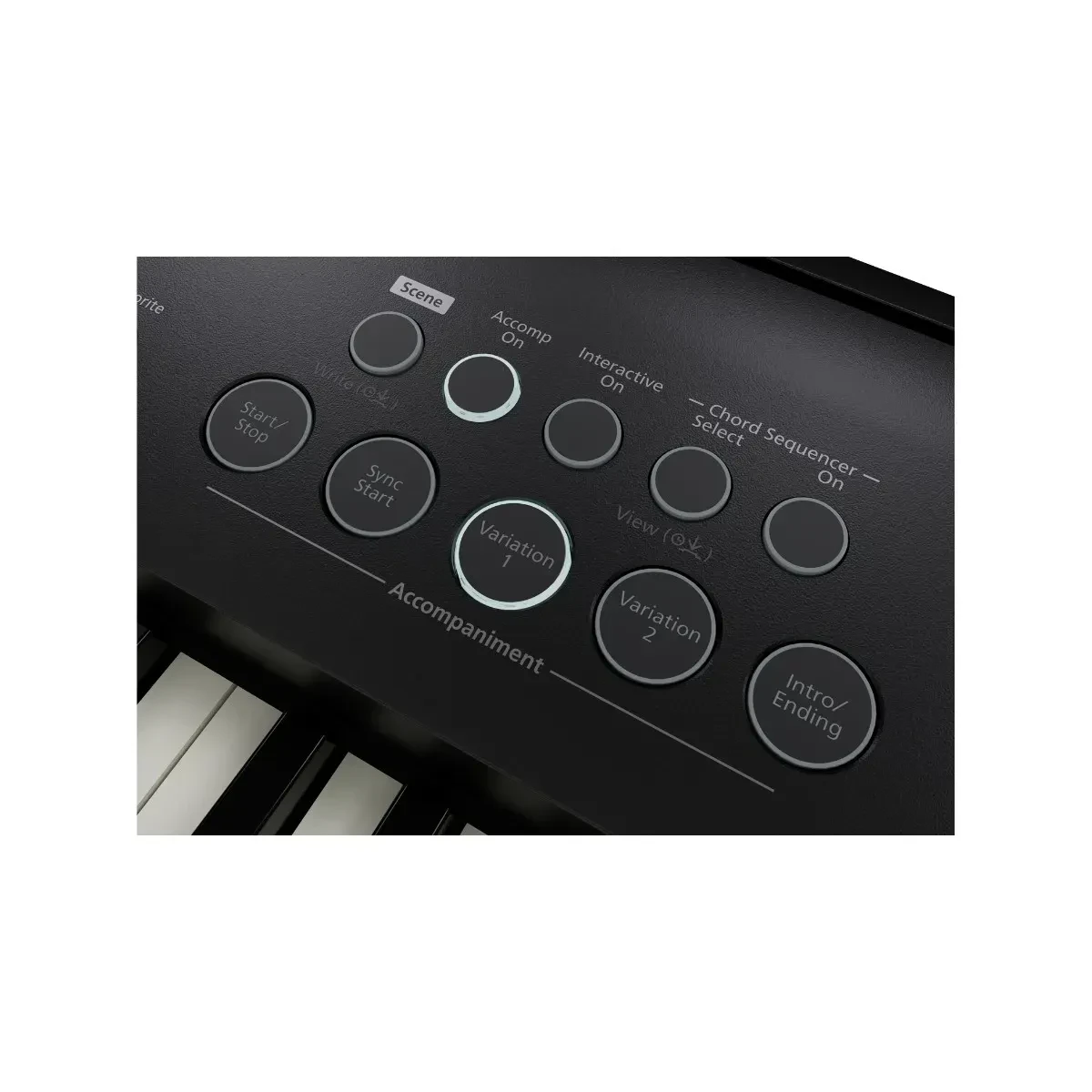 Изображение №7