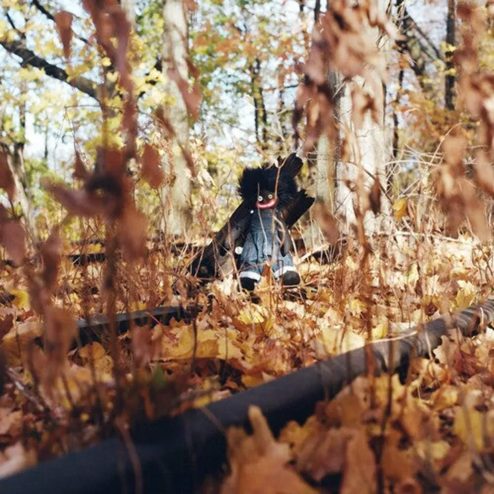 Виниловая пластинка Billy Woods – Golliwog (Релиз 2025)