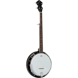 Банджо Ortega OBJ150-WB 5-String Resonator Banjo Whiskey Burst