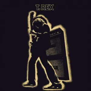 Виниловая пластинка T. REX – Electric Warrior