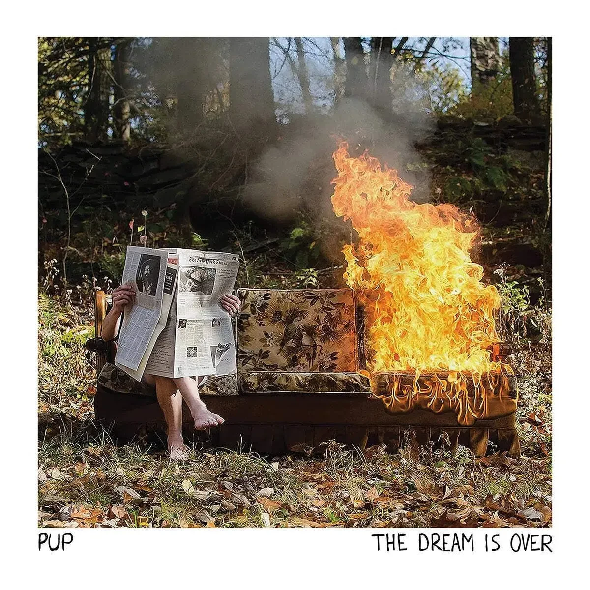Виниловая пластинка Pup – Dream Is Over (Релиз 2025)