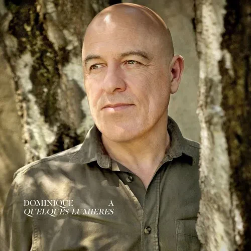 Виниловая пластинка Dominique A - Quelques Lumieres [New Vinyl LP] France - Import