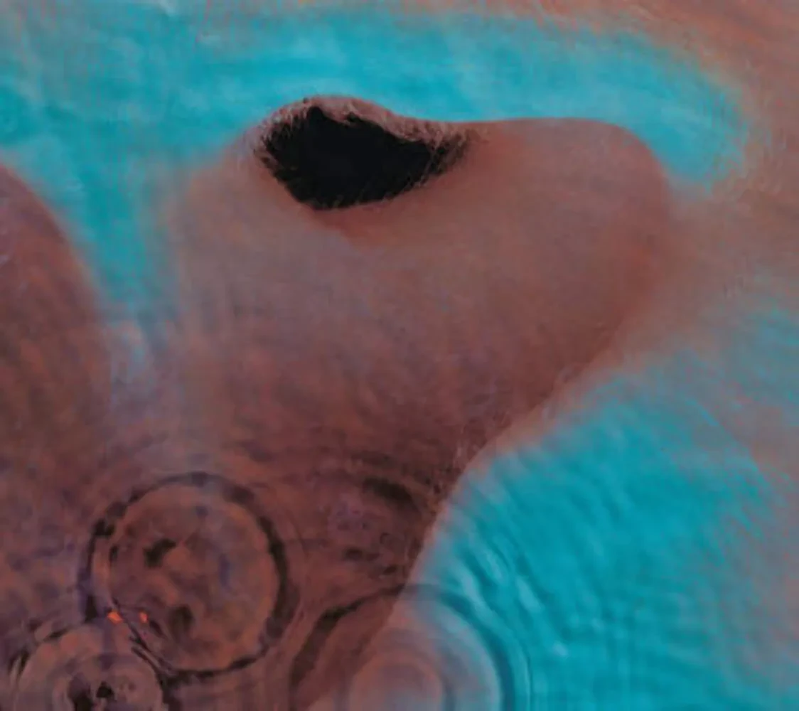 Виниловая пластинка Pink Floyd – Meddle Релиз 2016 Sealed