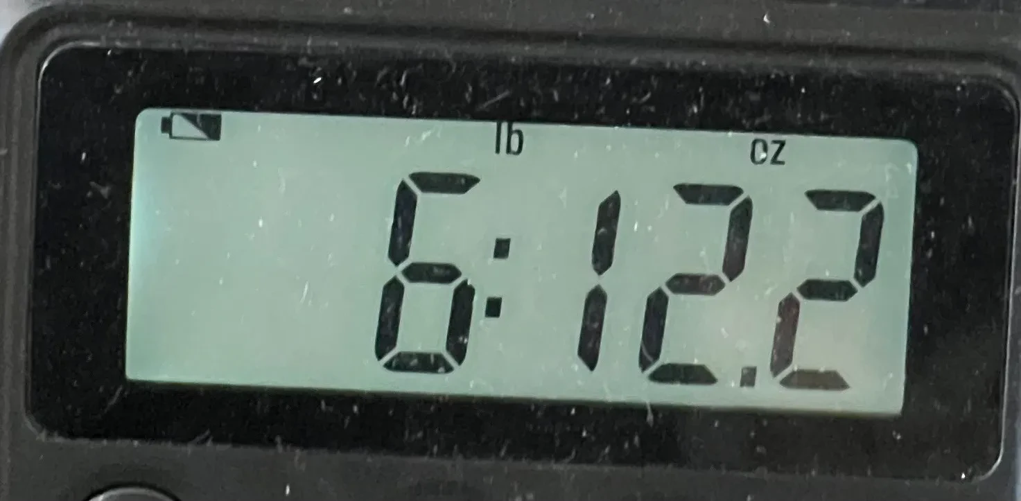 Изображение №10