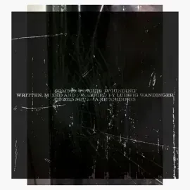 Виниловая пластинка Sanguis - Wounding [New Vinyl LP]