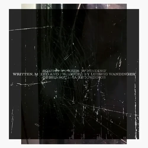 Виниловая пластинка Sanguis - Wounding [New Vinyl LP]