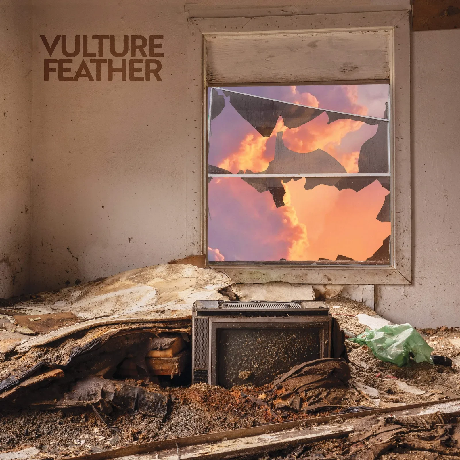 Vulture Feather - It Will Be Like Now [Rose Vinyl] NEW Vinyl
