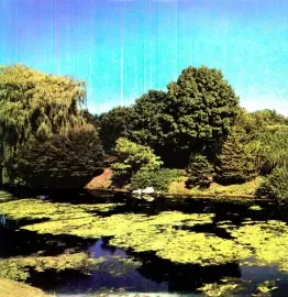 Виниловая пластинка Shellac - Terraform [New Vinyl LP]