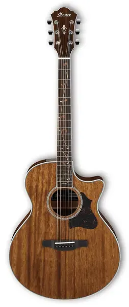 Электроакустическая гитара Ibanez AE245-NT