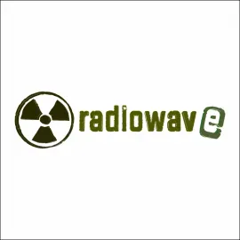 Radiowave UHM-902 радиосистема True Diversity с 2 ручными микрофонами с выборной частотой