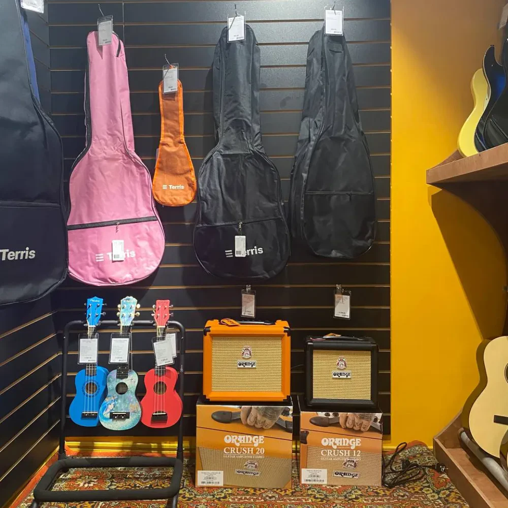 SKIFMUSIC — музыкальный магазин в Сочи