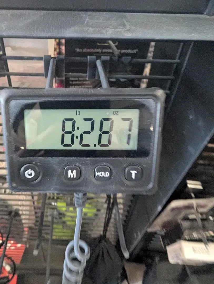 Изображение №8