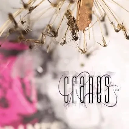 Виниловая пластинка CRANES – Fuse