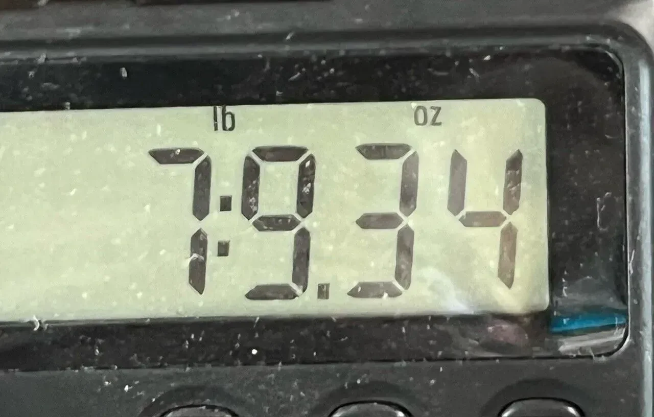 Изображение №8