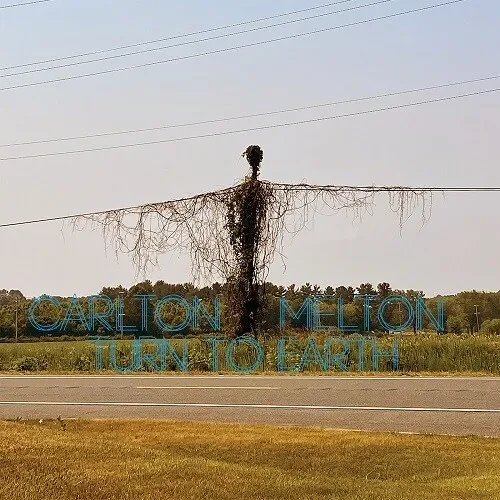Виниловая пластинка Carlton Melton - Turn To Earth [New Vinyl LP]