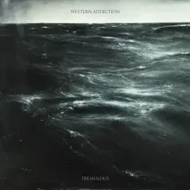 Виниловая пластинка Western Addiction - Tremulous [New Vinyl LP]