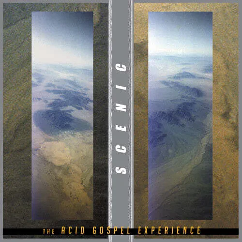 Виниловая пластинка The Scenic – The Acid Gospel Experience 2024