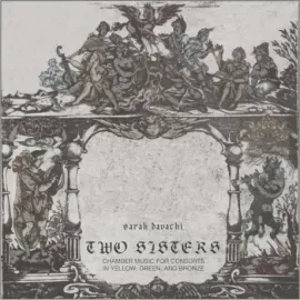 Виниловая пластинка Sarah Davachi – Two Sisters