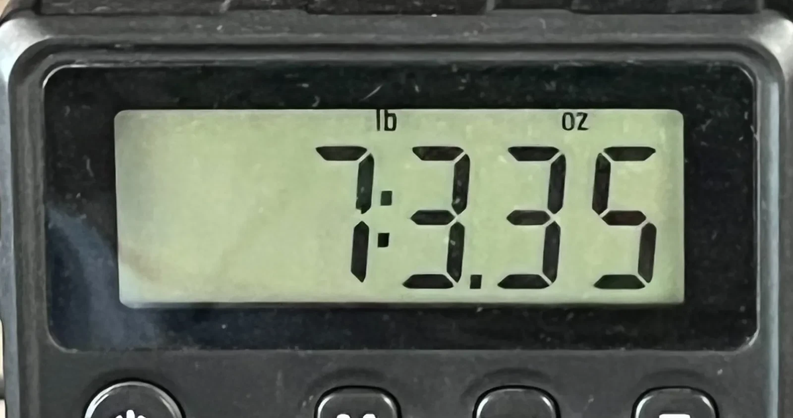 Изображение №9