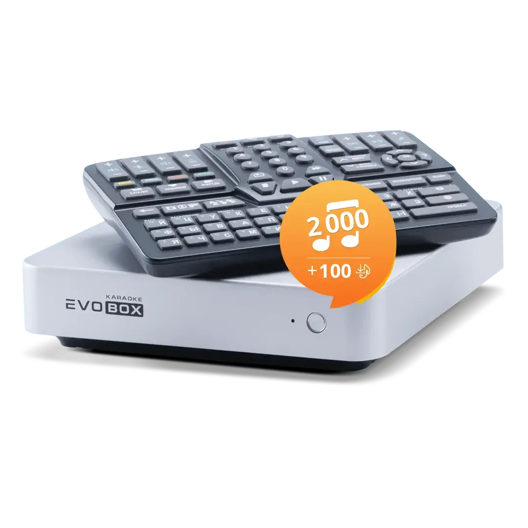 Караоке система Evolution EVOBOX Silver