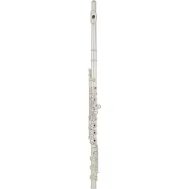 Флейта Allora Paris Professional Solid Silver Flute Offset G/C# Trill B Foot/Open Hole
