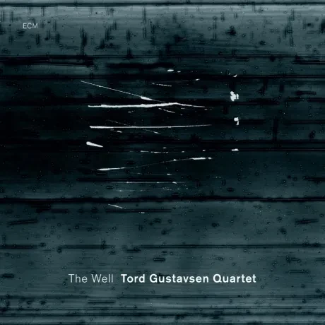 TORD GUSTAVSEN - The Well (CD)