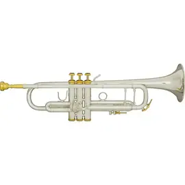 Труба Vincent Bach Special Custom 180S-37 Stradivarius Bb Silver Gold
