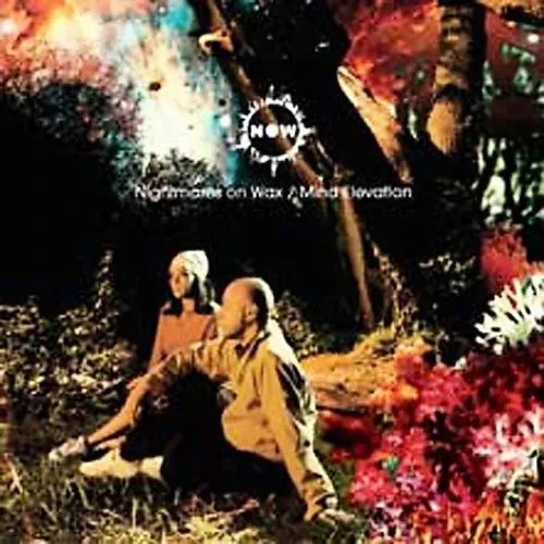 NIGHTMARES ON WAX Mind Elevation LP