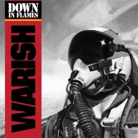 Виниловая пластинка Warish – Down In Flames Sealed