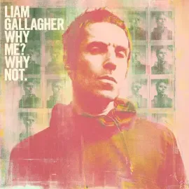 Виниловая пластинка Liam Gallagher – Why Me? Why Not