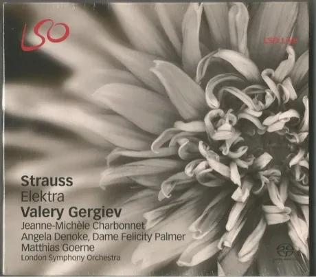 VALERY GERGIEV - Strauss: Elektra (2CD)
